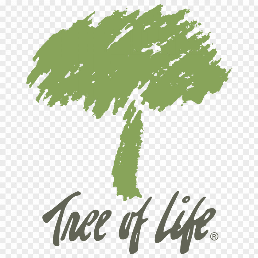 Tree Vector Graphics Logo Image Of Life Sales PNG