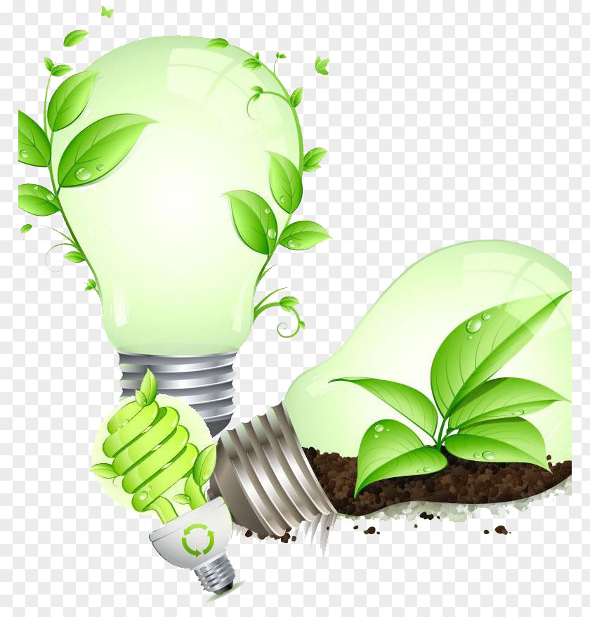 Bulb Plant Design Energy Conservation Saving Lamp Efficient Use Efficiency PNG