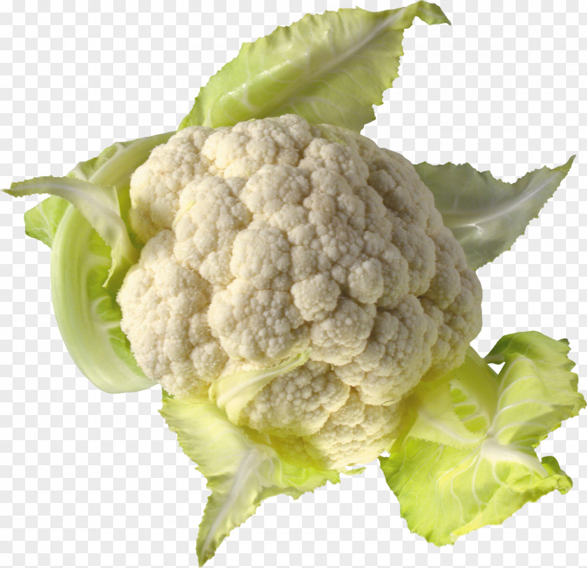 Cauliflower Leaf Vegetable Clip Art PNG