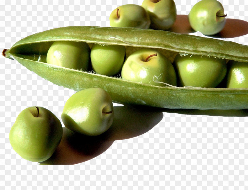 Creative Green Apple Pods Wrap Pea Soybean Food Genetically Modified Organism PNG