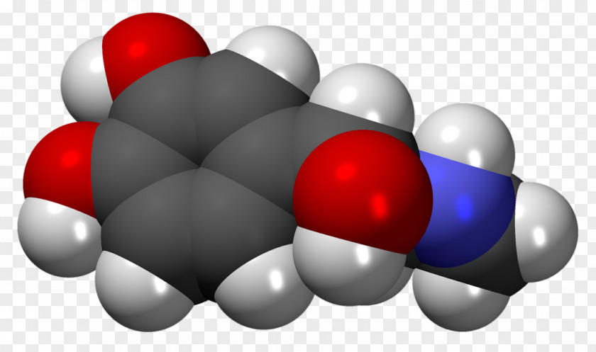 Hormones Watercolor Adrenaline Hormone Catecholamine Neurotransmitter Gland PNG