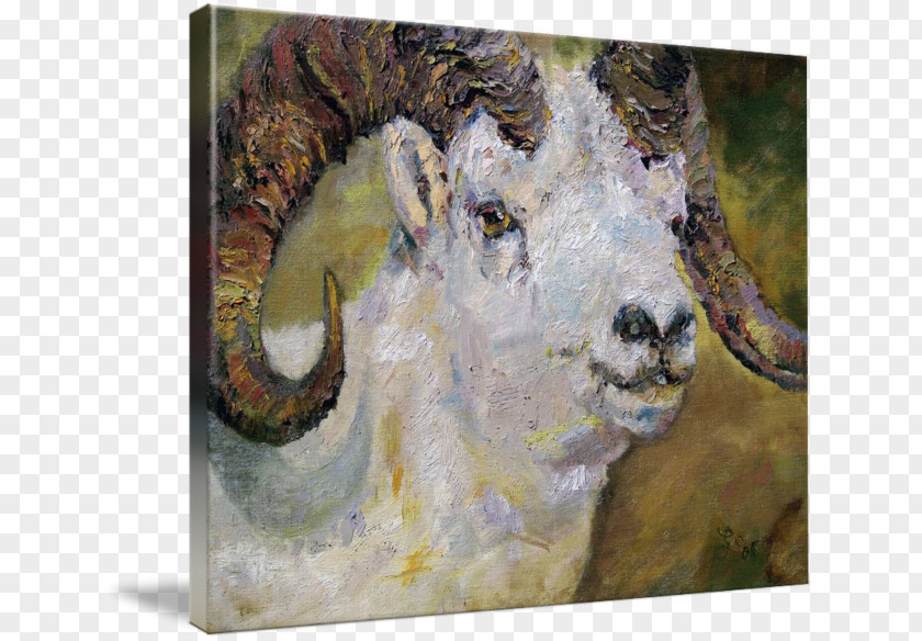 Oil Painting Dall Sheep Goat Watercolor PNG