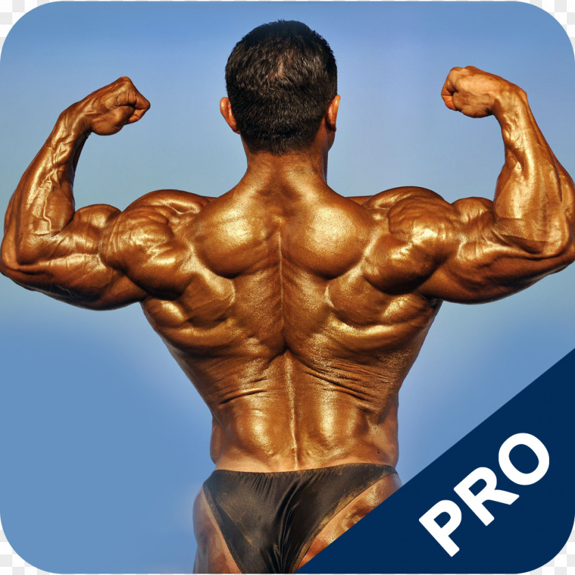 Bodybuilding Natural 1080p Exercise Desktop Wallpaper PNG