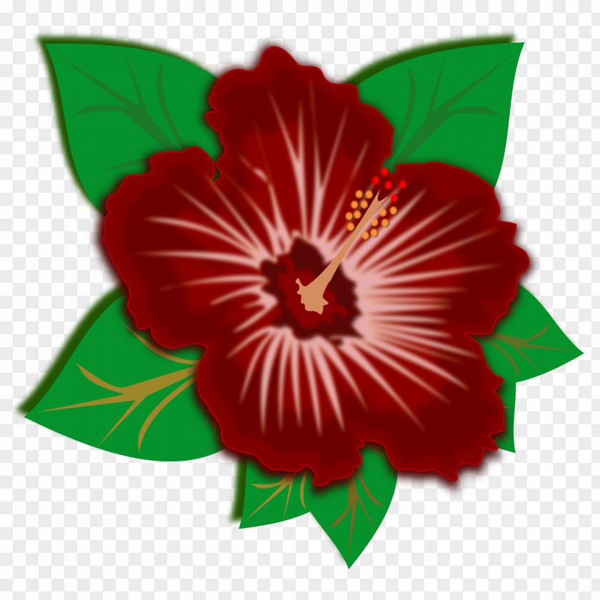 Flower Border Flowers Desktop Wallpaper Clip Art PNG