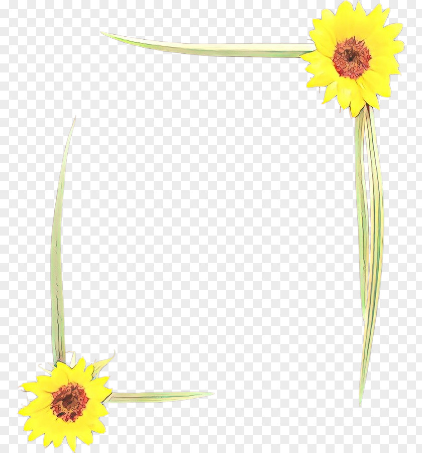 Flowering Plant Daisy Family Sunflower PNG