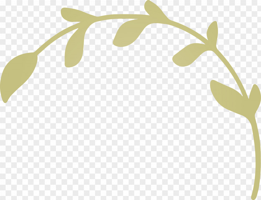 Plant Stem Petal Leaf Twig Font PNG