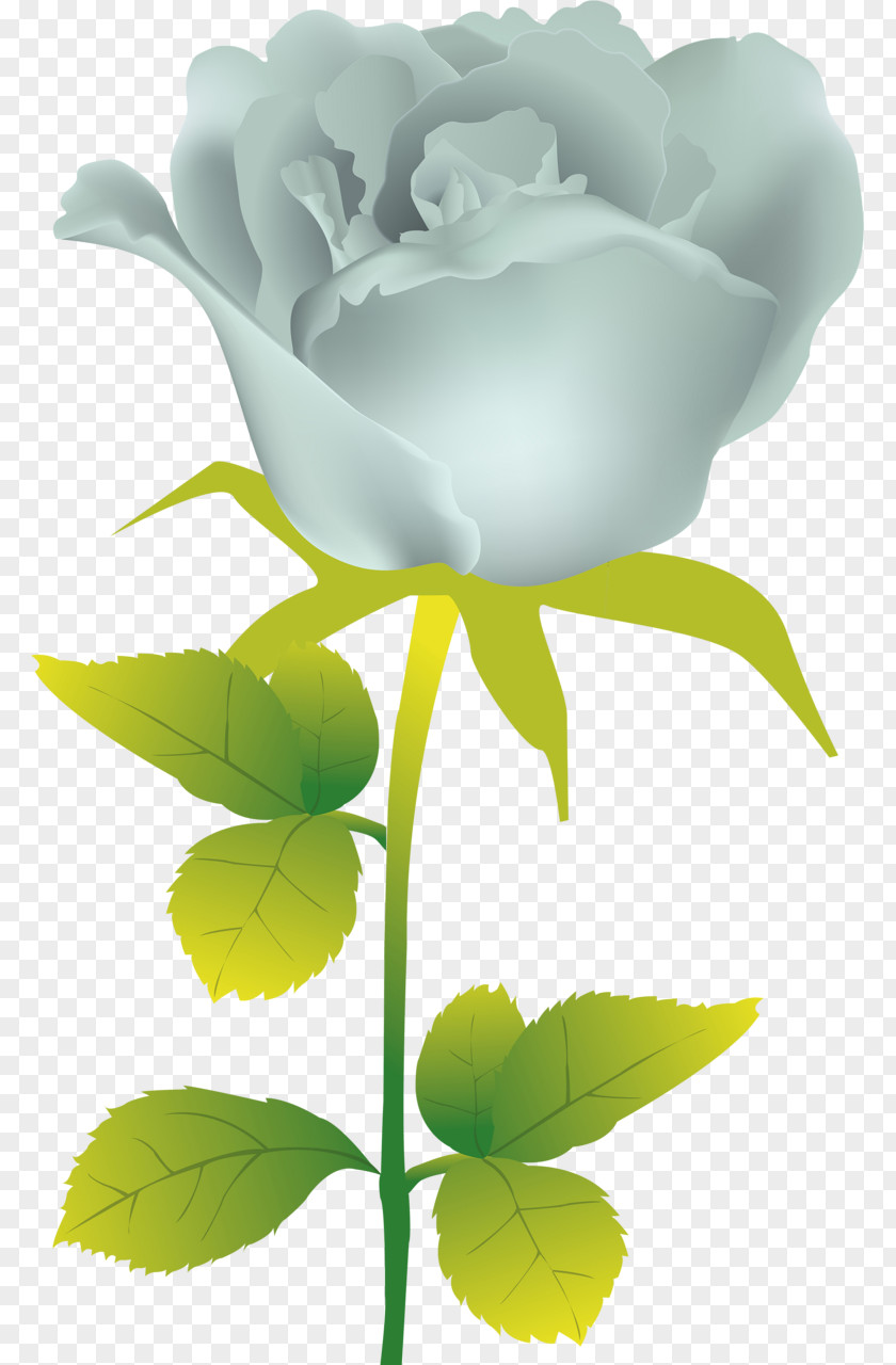 Rose Flower Painting PNG