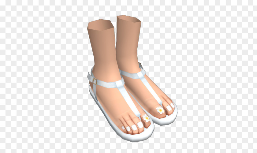 Sandal Toe Ankle Shoe PNG