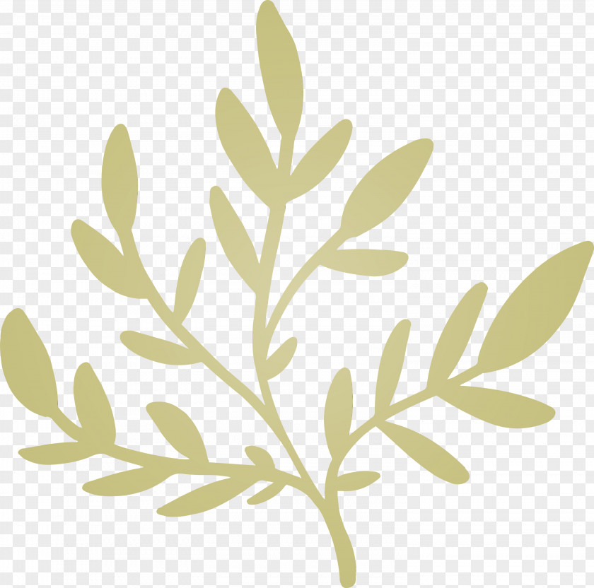 Twig Plant Stem Leaf Meter Plants PNG