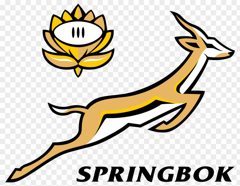 African South Africa National Rugby Union Team New Zealand Springbok 2017 Championship Australia PNG