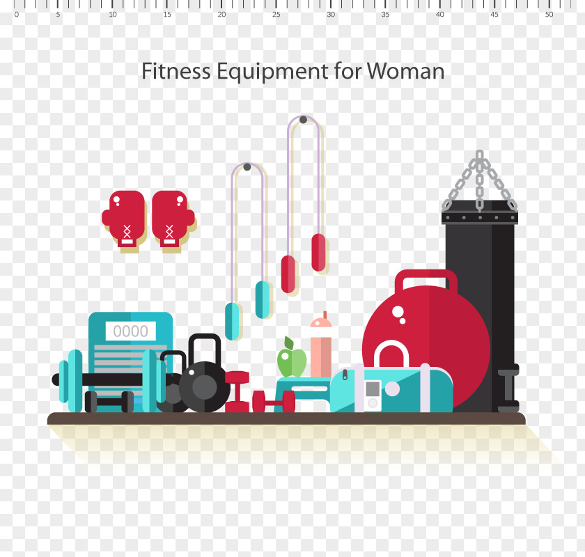 Fitness Tools The Home Workout Bible Exercise Equipment Physical Centre PNG