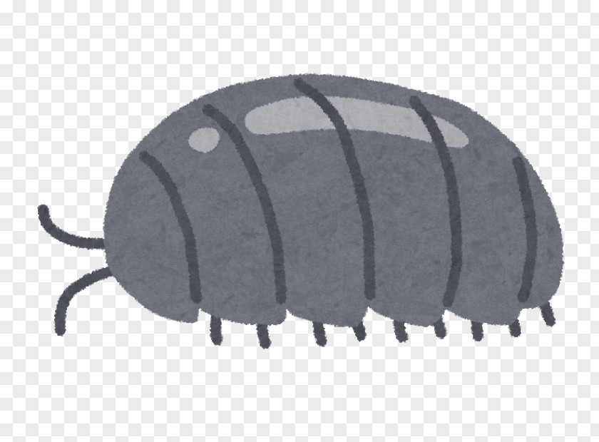 Image Post It Roly-poly Woodlouse Gashapon Art PNG