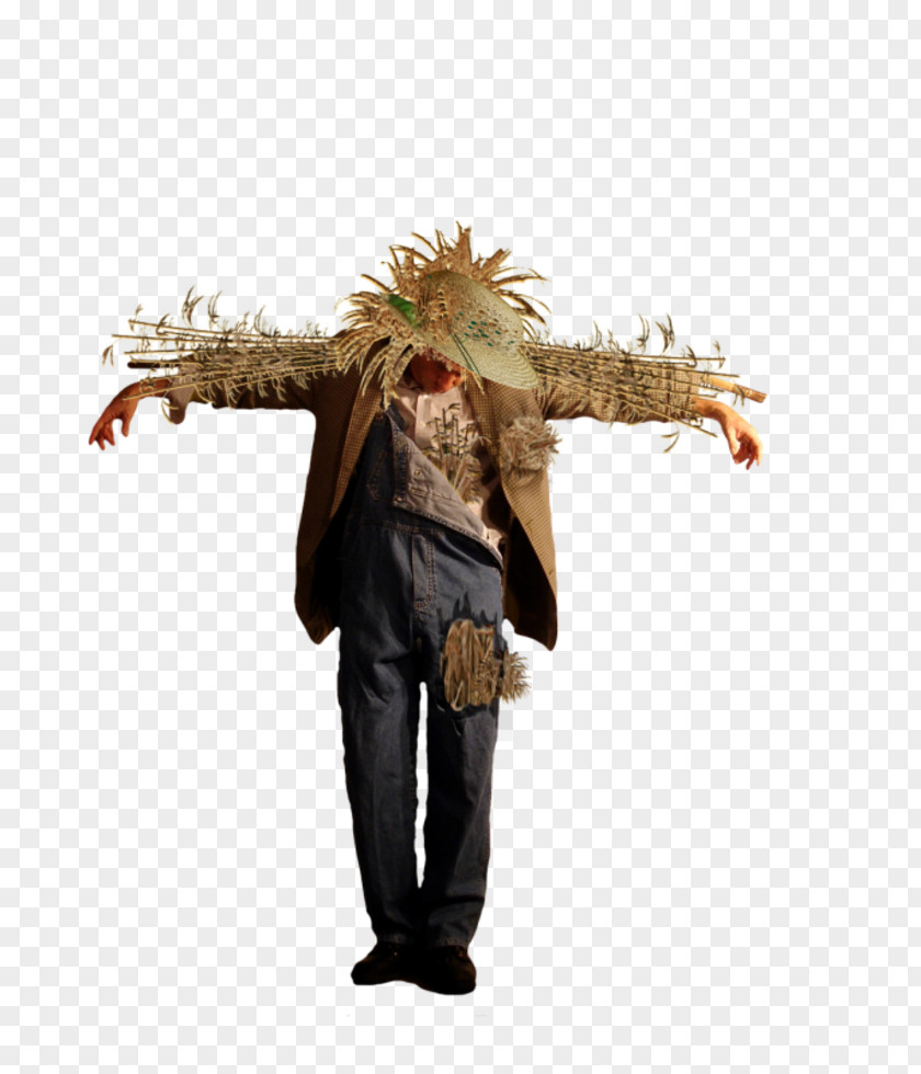 Scarecrow Costume PNG