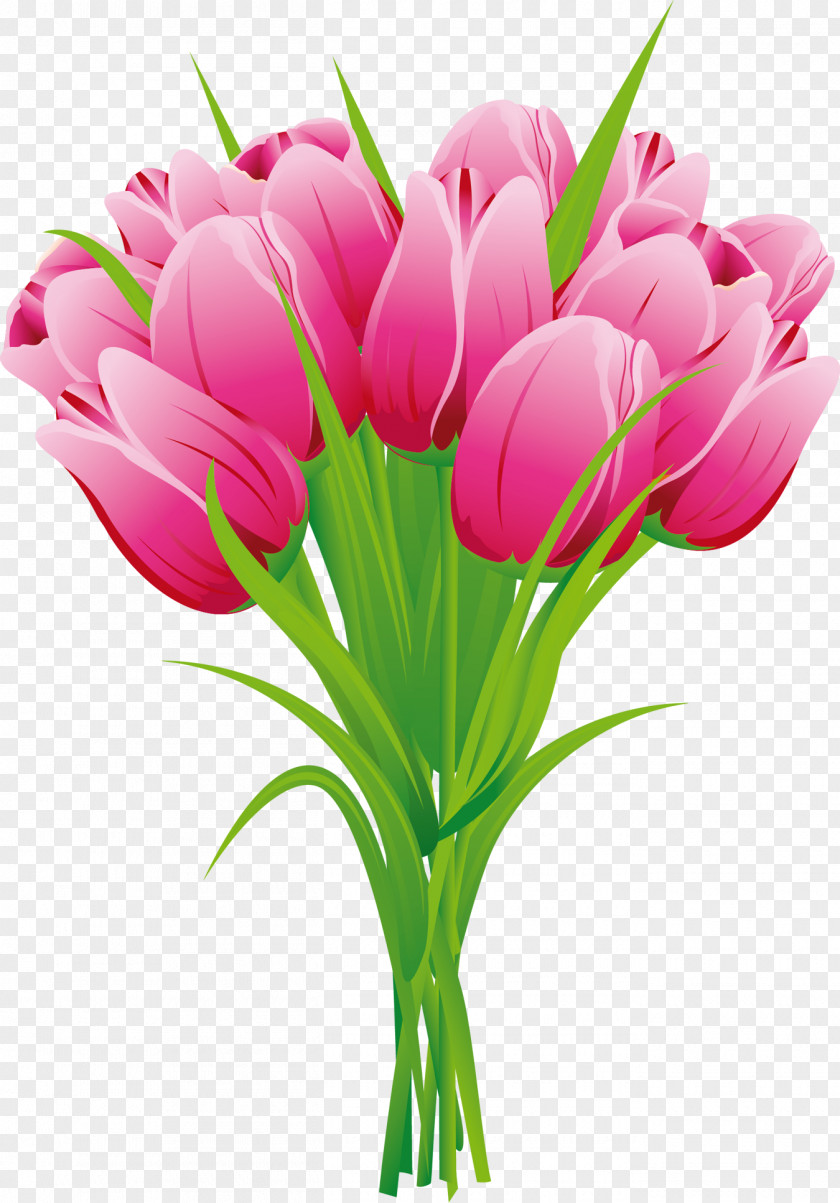 Tulip Flower Bouquet Clip Art PNG