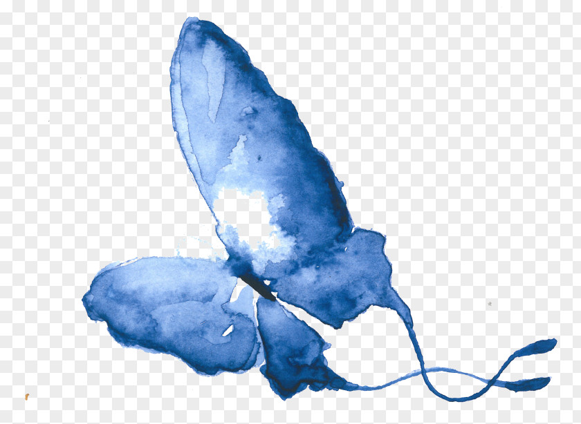 Watercolor Butterfly A-All Women Care Abortion Clinic Woman PNG
