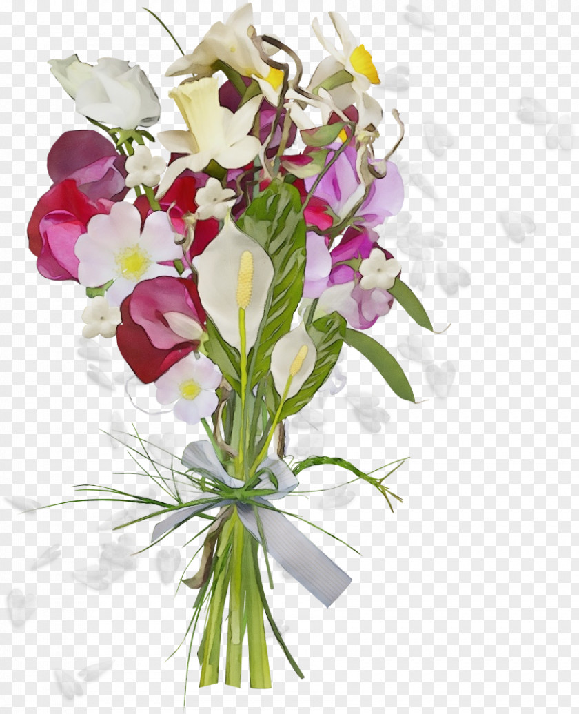 Anthurium Cooktown Orchid Flower Cut Flowers Plant Bouquet Floristry PNG