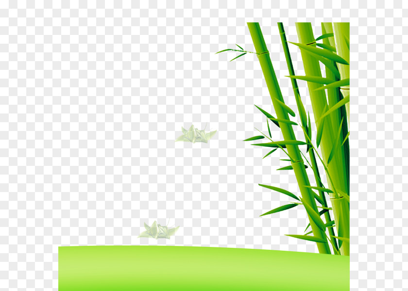 Bamboo Euclidean Vector PNG