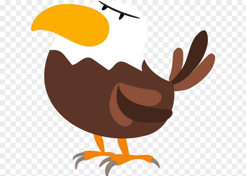 Bird Chicken Clip Art PNG