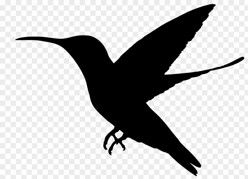 Bird Hummingbird Silhouette Clip Art PNG