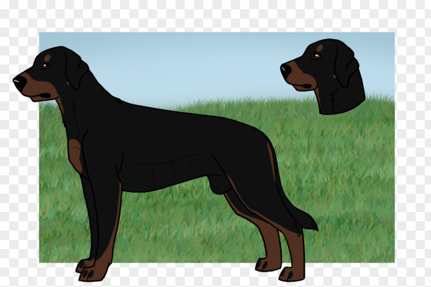 Black And Tan Coonhound Dog Breed Austrian Hound Polish Hunting Smaland PNG