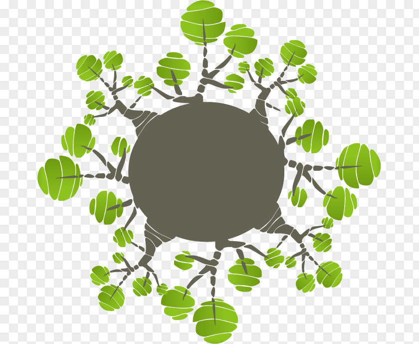 Cartoon Tree Ring Branch Aastarxf5ngad PNG