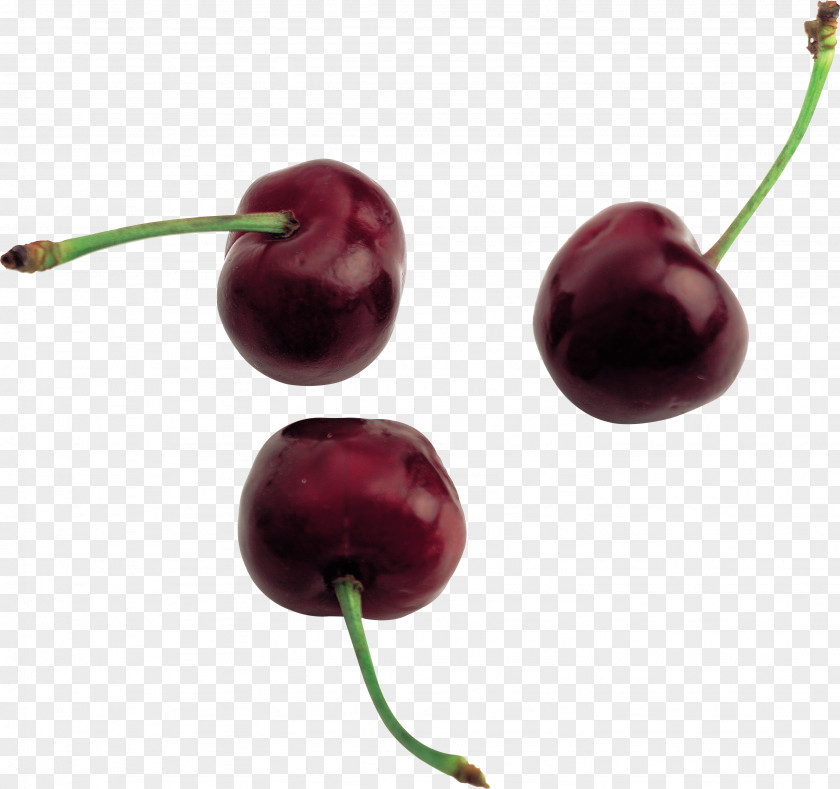 Cherry Android PNG