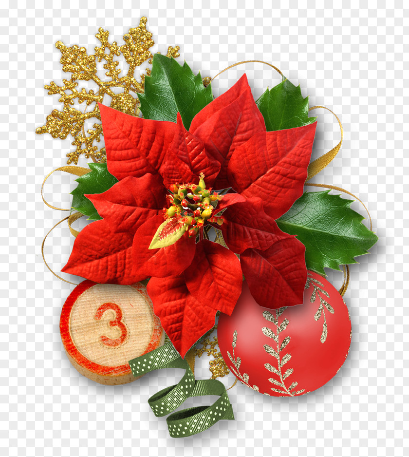 Countdown To 5 Days Font Design Floral Christmas Ornament Flower Snowflake PNG