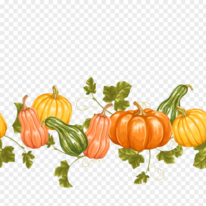 Local Food Pumpkin Orange PNG