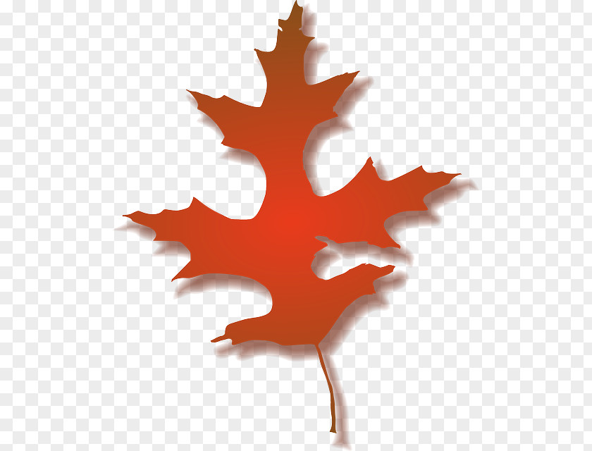 Multicolored Maple Leaf Autumn Clip Art PNG