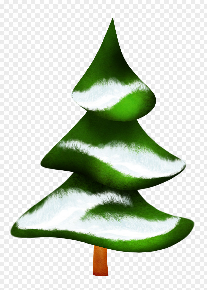 Needle Fir Pine Green Christmas Tree PNG