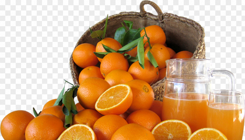 Orange Juice Fruit Mandarina LaMejorNaranja.com PNG