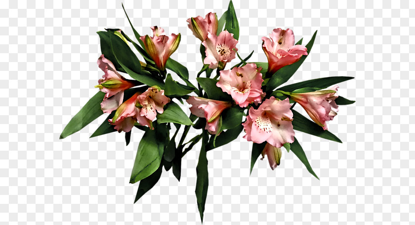 Asiatic Lily Of The Incas Floral Design Cut Flowers Flower Bouquet PNG