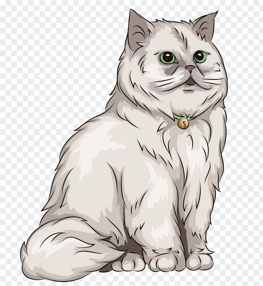 British Longhair Drawing Cat White Small To Medium-sized Cats Line Art Whiskers PNG