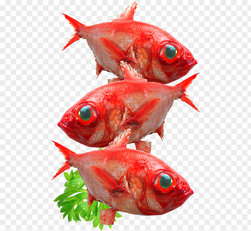 Deep Sea Fish Star Lobster Seafood Mart Products Northern Red Snapper PNG