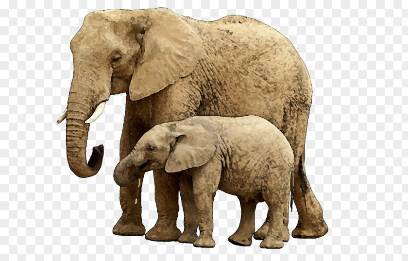 Elephants Elephant Child Stock Photography Clip Art PNG