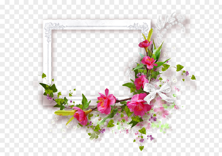 Formato Transparente Picture Frames Photography Blog PNG