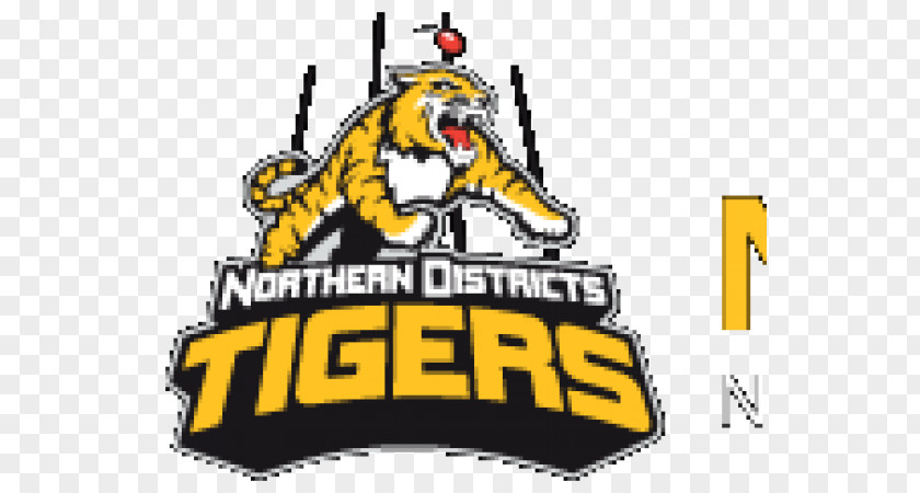 Tiger South Coast Australian Football League Rules Northern Districts Tigers Team PNG