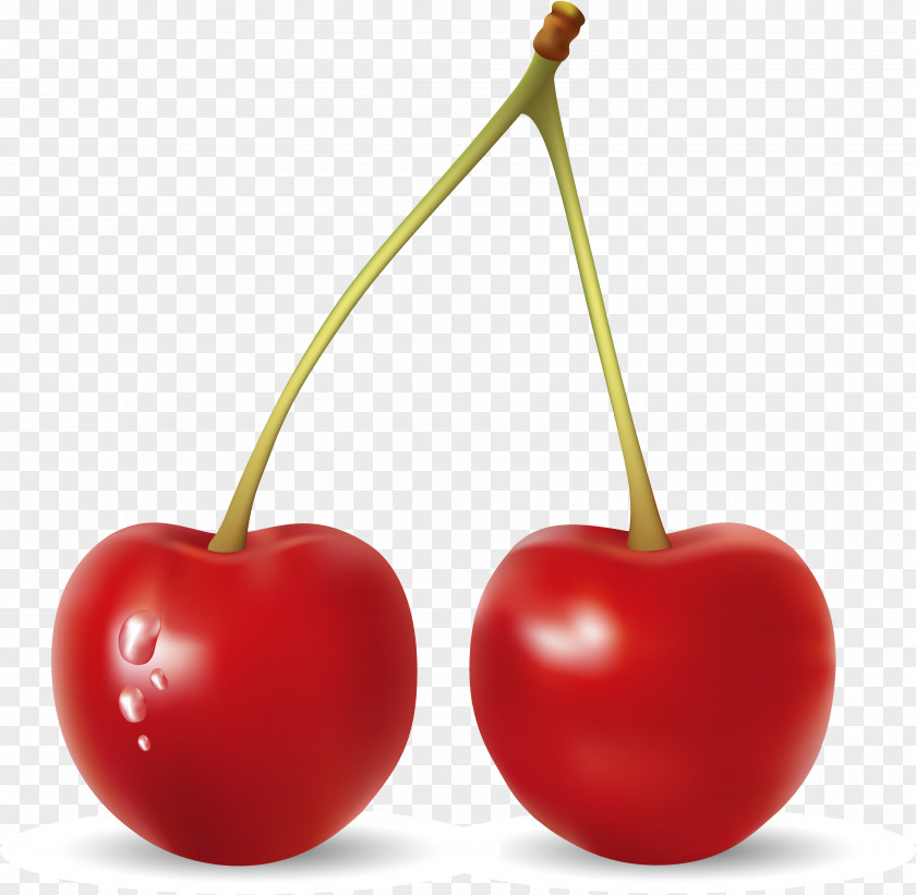 Cherry Fruit Apricot Apple PNG