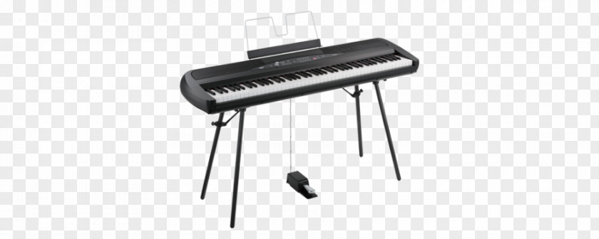 Electronic Piano Digital Keyboard Stage Korg PNG