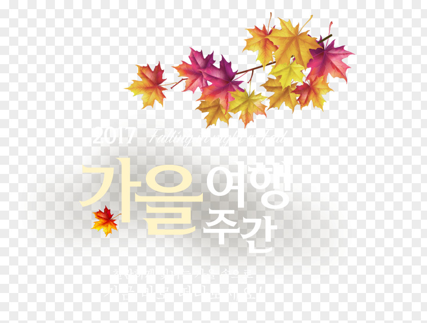 Fall Title Box South Korea 한국관광협회중앙회 Ministry Of Education Culture, Sports And Tourism Organization PNG