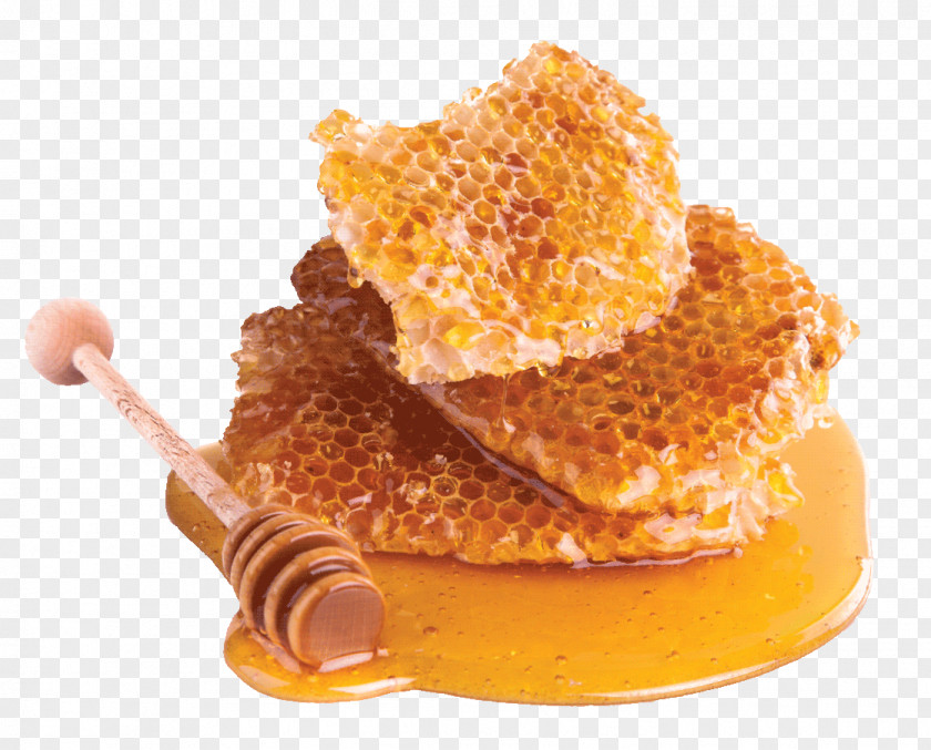 Honey Honeycomb Bee PNG