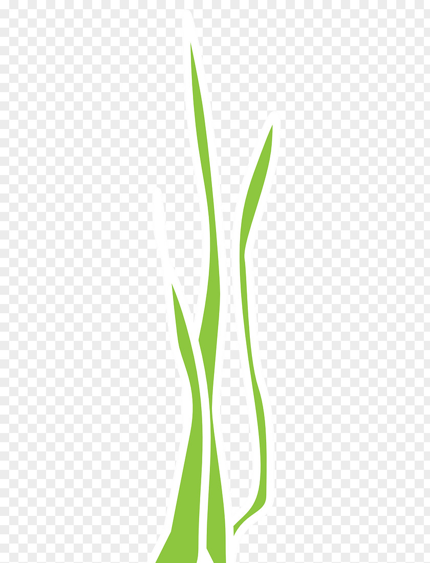 Nori Seaweed Leaf Green Grasses Plant Stem Clip Art PNG