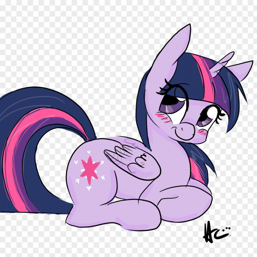 Sparkle Twilight Pony Horse Winged Unicorn PNG