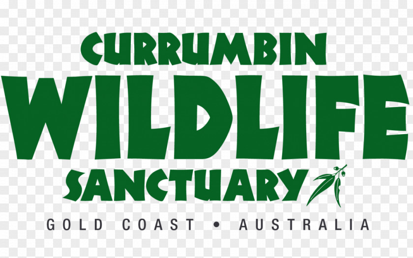 Treetop Currumbin Wildlife Sanctuary Sea World Gold Coast Dreamworld Refuge PNG
