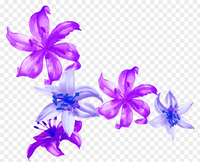 Watercolor Lily Vector Painting Blue Petal Illustration PNG