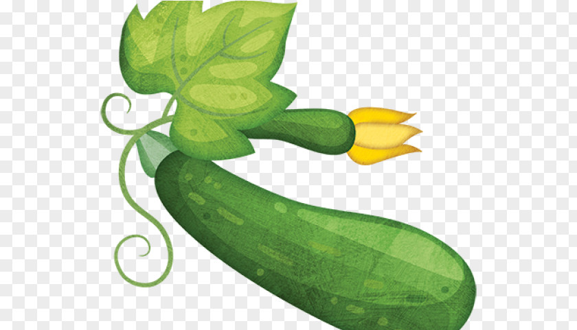 Armenian Cucumber Vegan Nutrition Green Leaf Background PNG