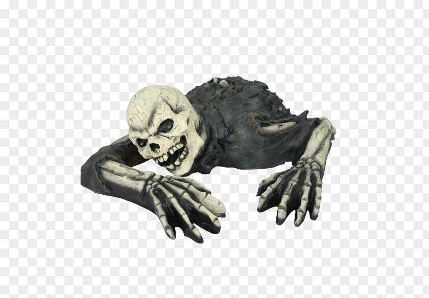 Hole In The Ground Skull Skeleton Headgear PNG