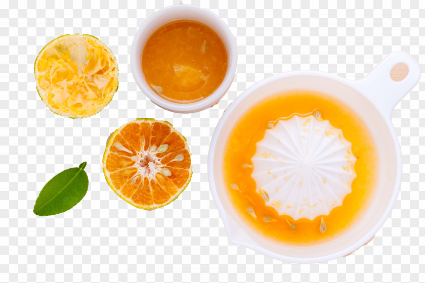 Orange Juice Cocktail Lemon Tangerine PNG