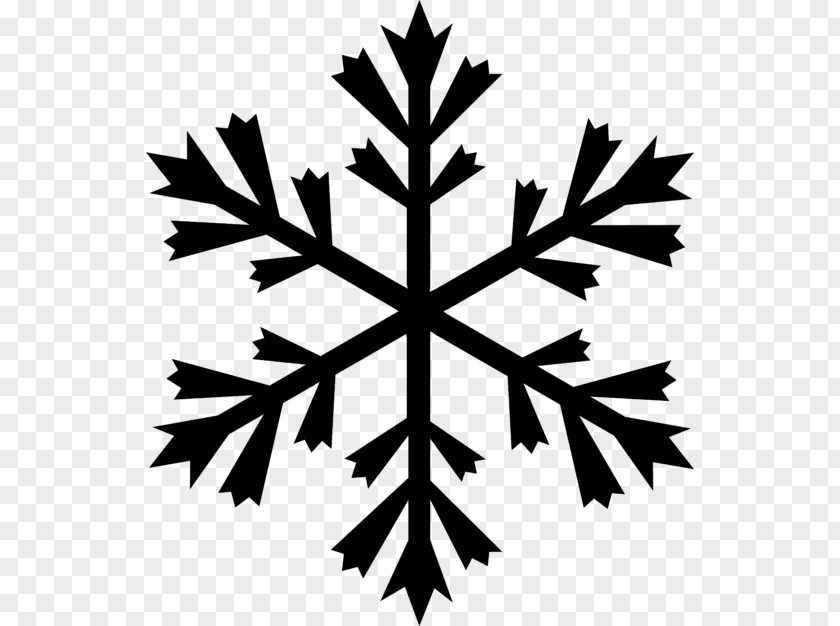 Snowflake TATRA Ski Rent & School Drawing PNG