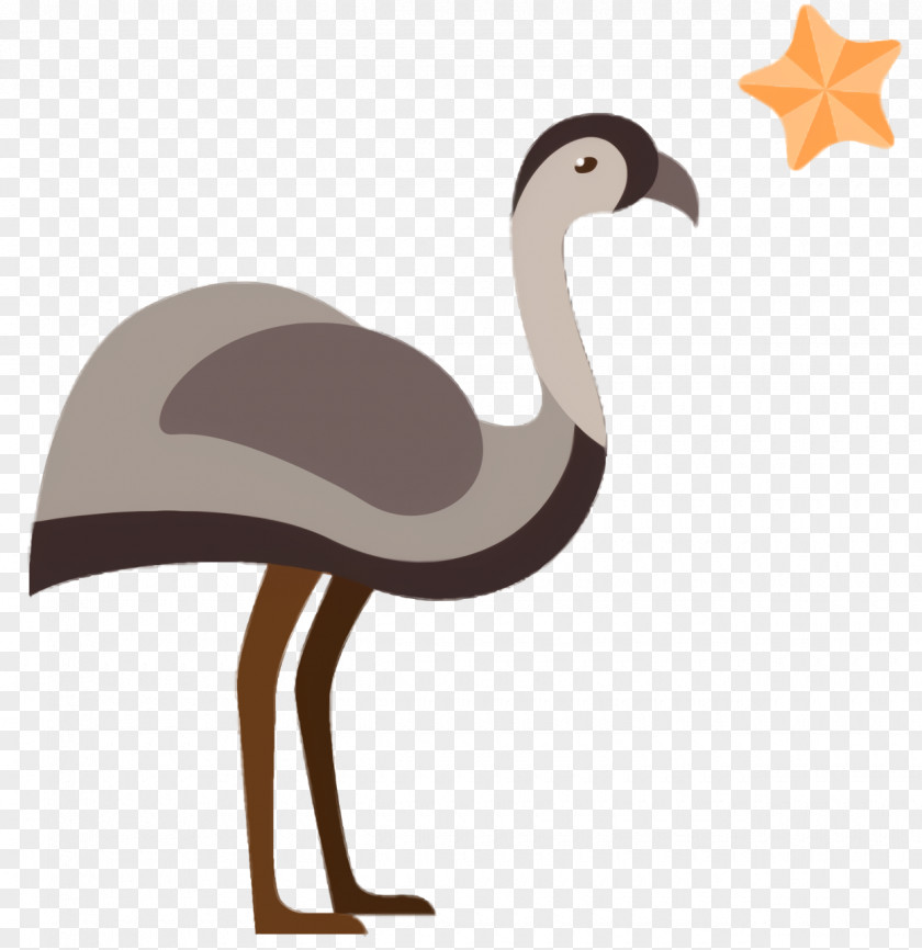 Whooping Crane Beak Bird PNG